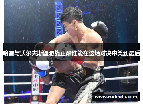 哈雷与沃尔夫斯堡激战正酣谁能在这场对决中笑到最后