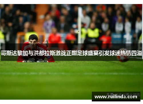 哥斯达黎加与洪都拉斯激战正酣足球盛宴引发球迷热情四溢