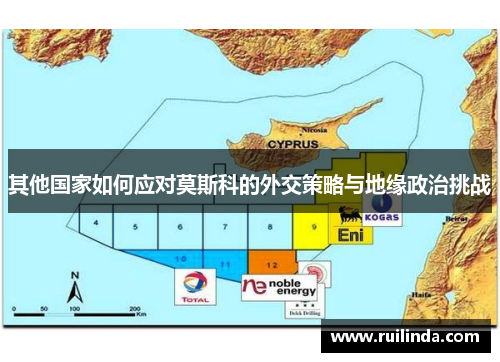 其他国家如何应对莫斯科的外交策略与地缘政治挑战